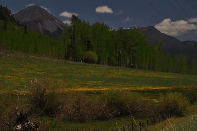 Along the 550